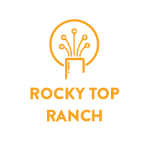 fiber internet in rocky top ranch