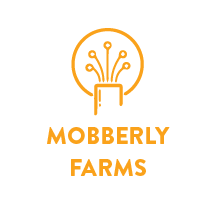 fiber internet in mobberly farms