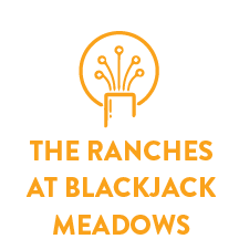 fiber internet in the ranches at blackjack meadows