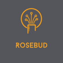 Fiber Internet in Rosebud