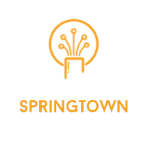 Fiber Internet in Springtown Fiber Internet in Springtown