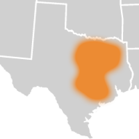Fiber Internet in Texas and Nebraska
